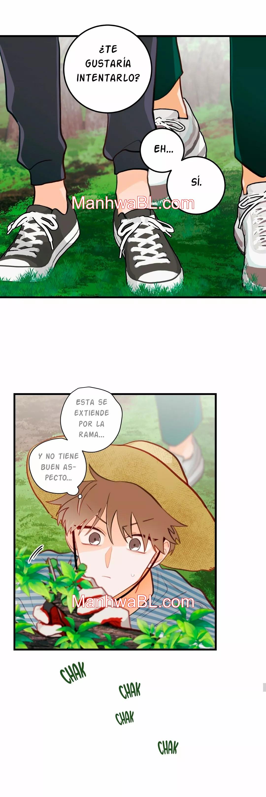 Pear Blossom Love - Capítulo 16.2 manhwa