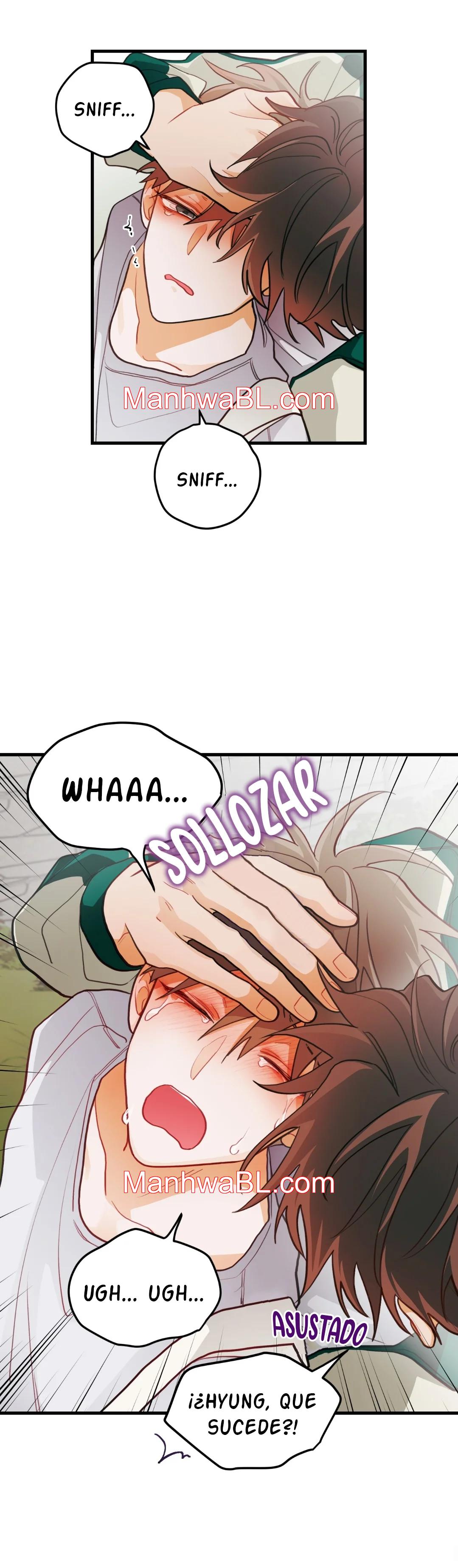 Pear Blossom Love - Capítulo 30.3 manhwa