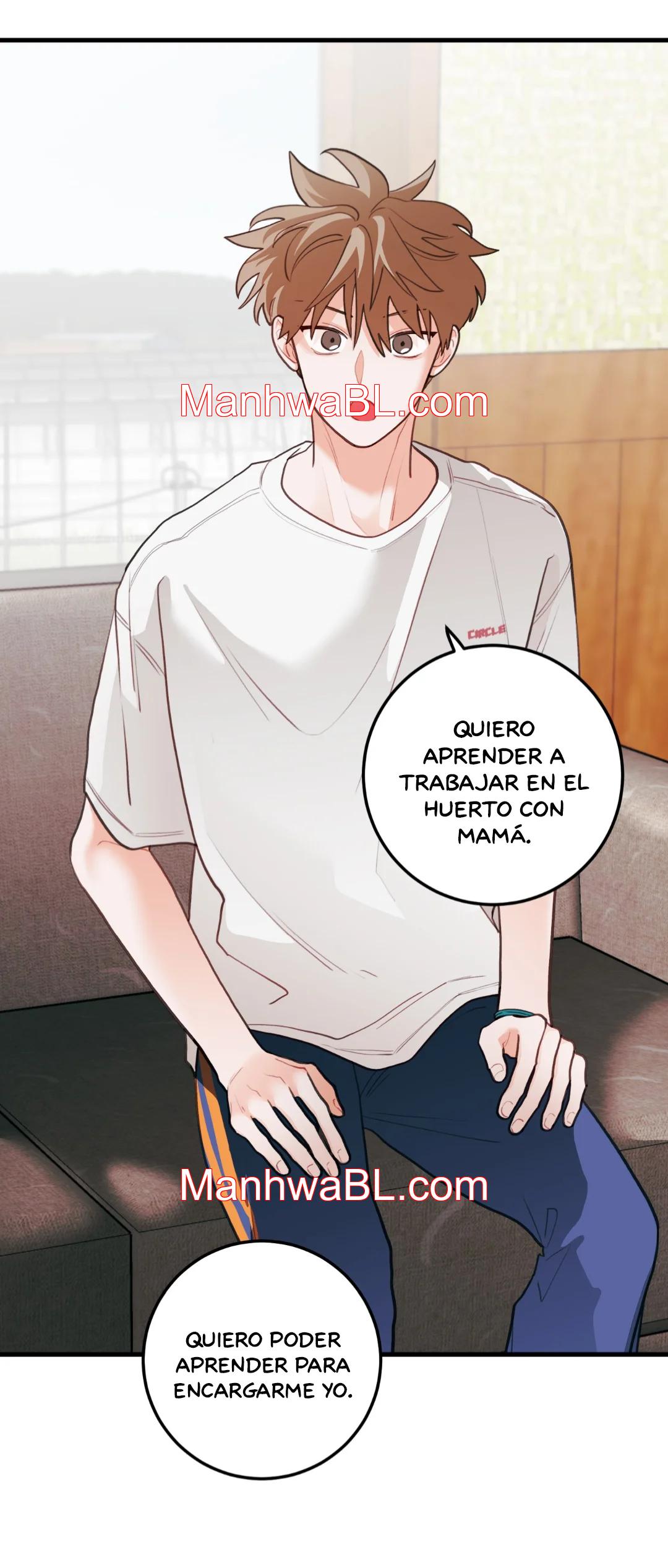 Pear Blossom Love - Capítulo 75.3 manhwa