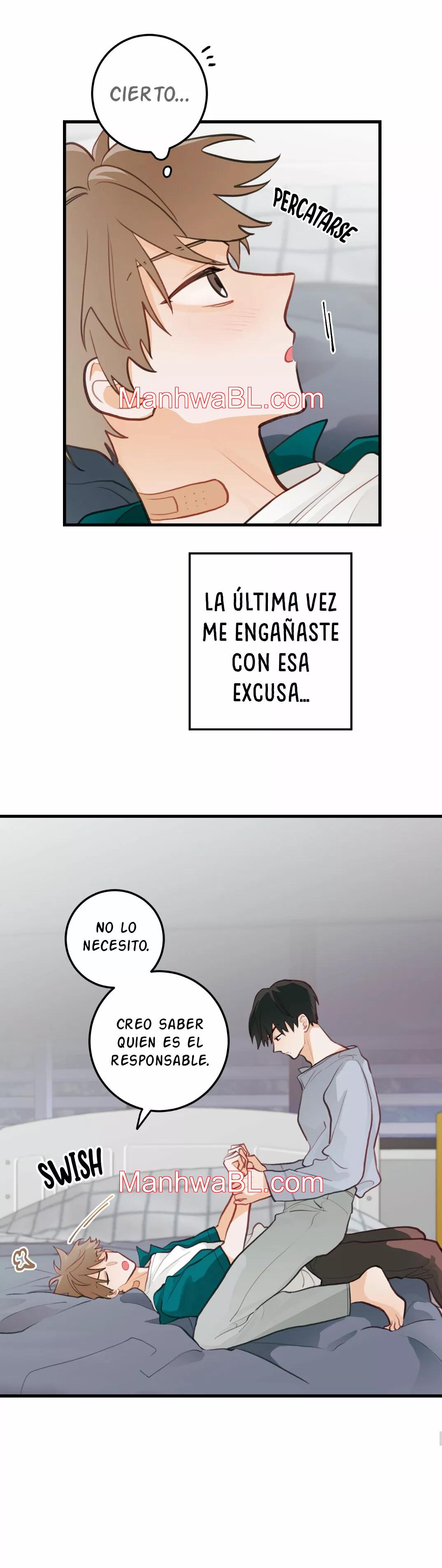 Pear Blossom Love - Capítulo 11.3 manhwa