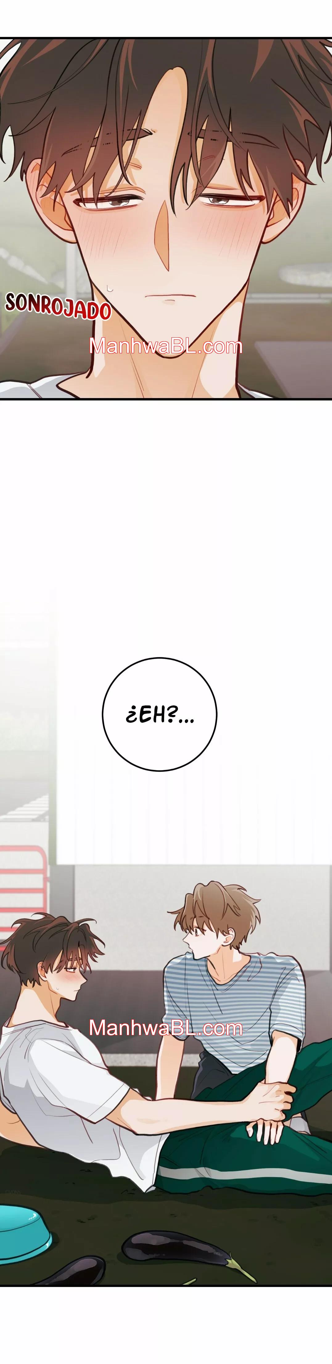Pear Blossom Love - Capítulo 14.3 manhwa