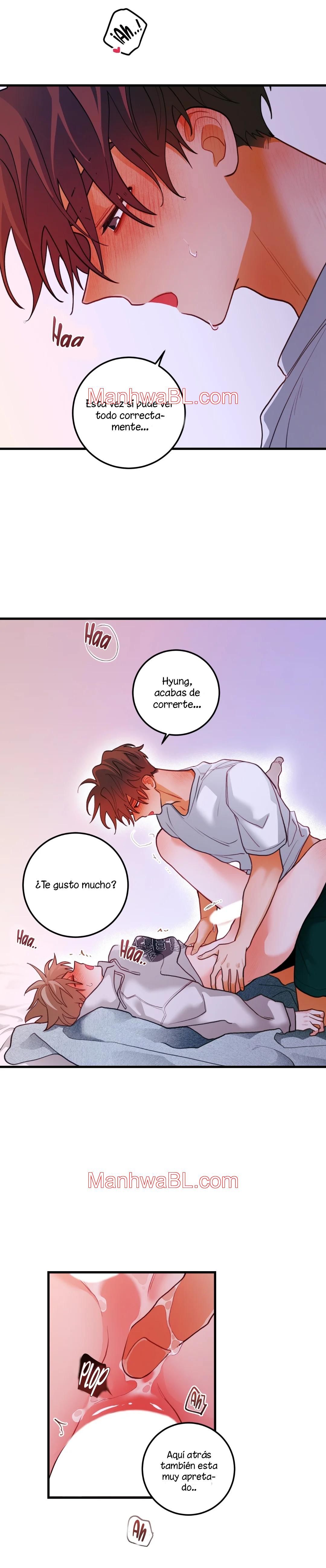 Pear Blossom Love - Capítulo 44.3 manhwa
