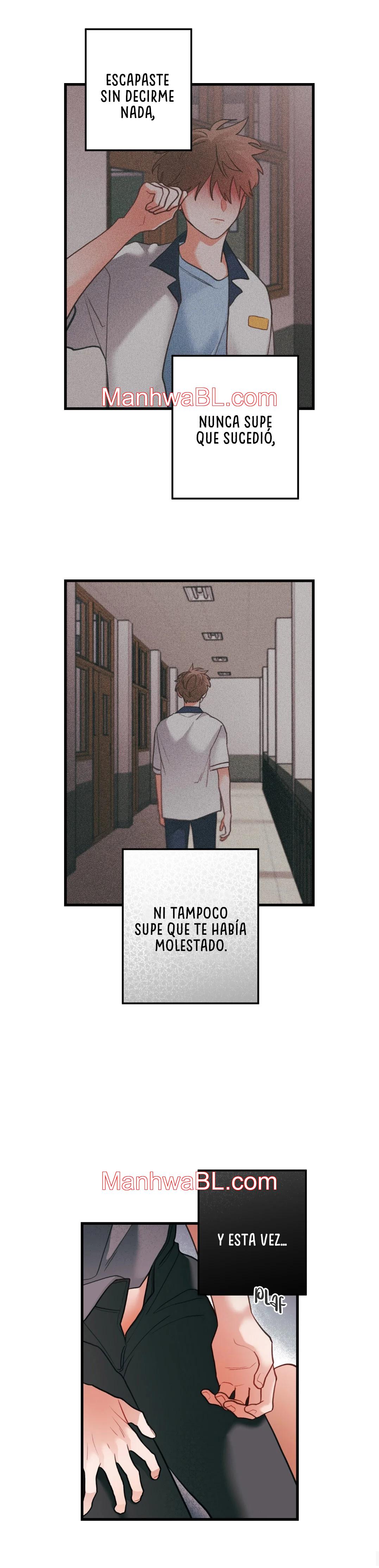 Pear Blossom Love - Capítulo 53.3 manhwa