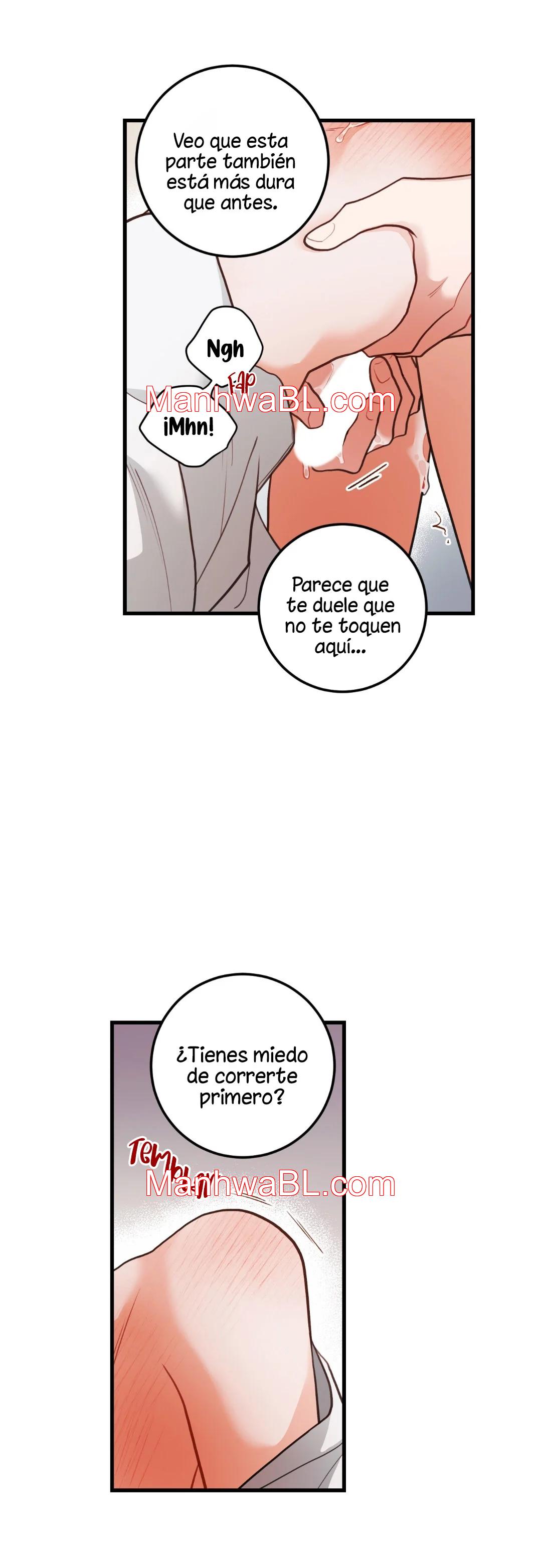 Pear Blossom Love - Capítulo 53.3 manhwa