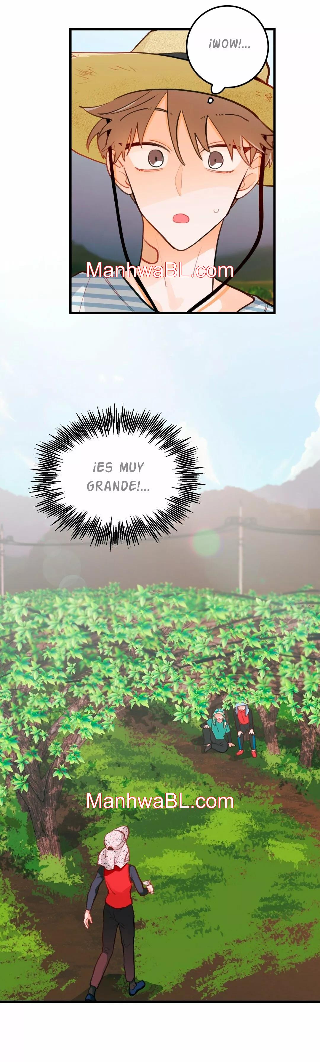 Pear Blossom Love - Capítulo 16 manhwa