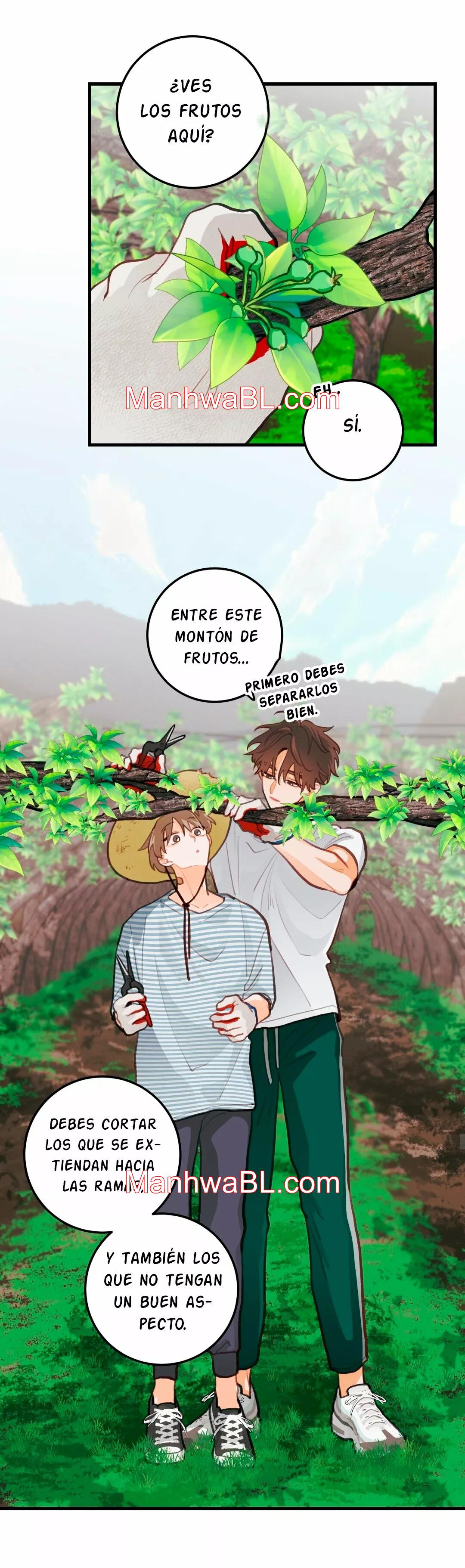 Pear Blossom Love - Capítulo 16 manhwa