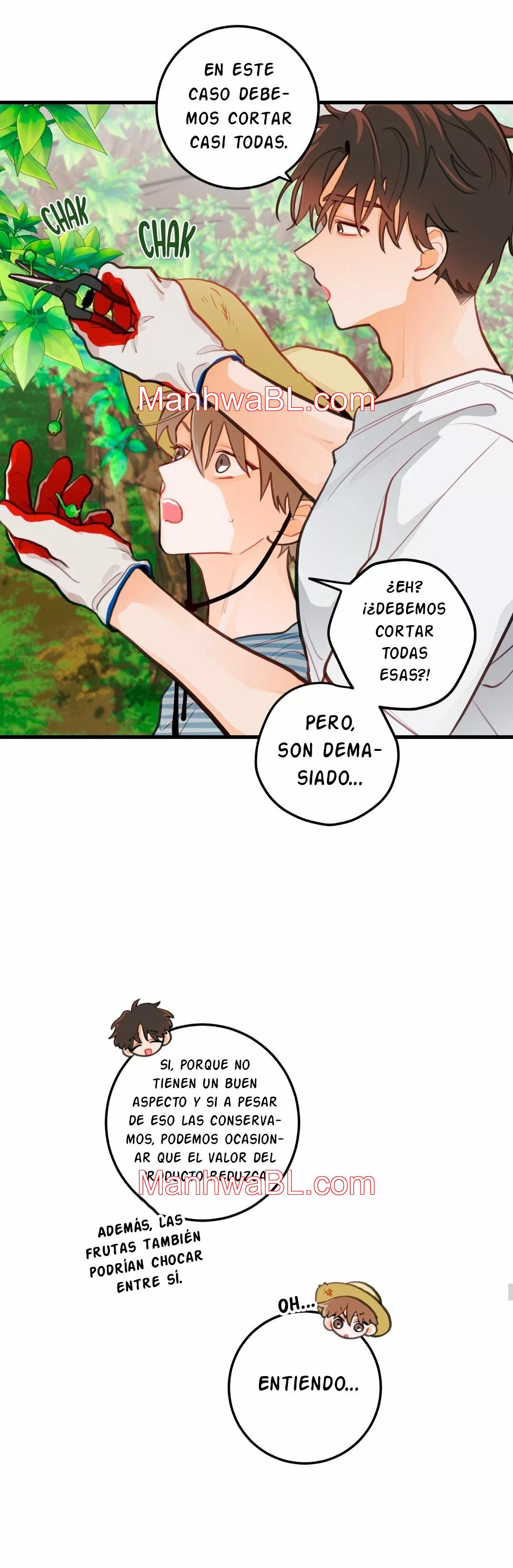 Pear Blossom Love - Capítulo 16 manhwa