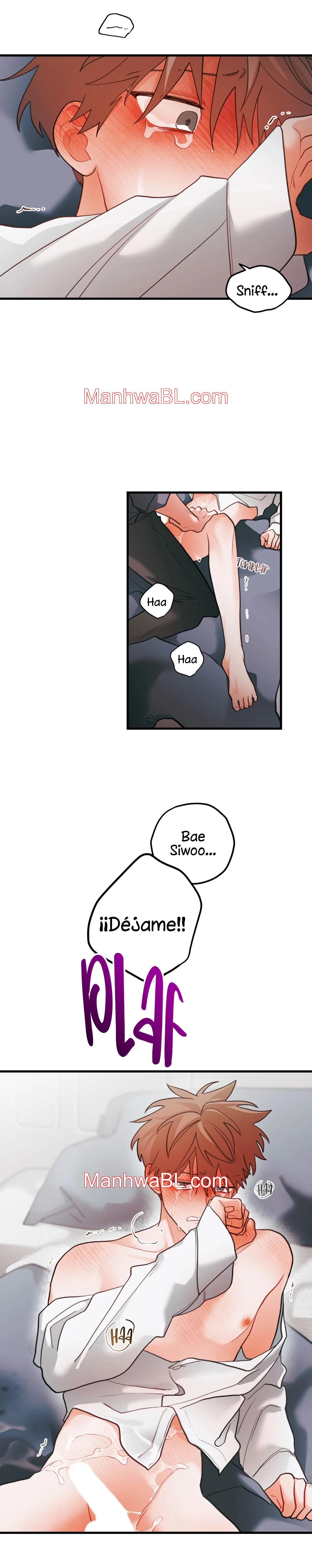 Pear Blossom Love - Capítulo 53.2 manhwa