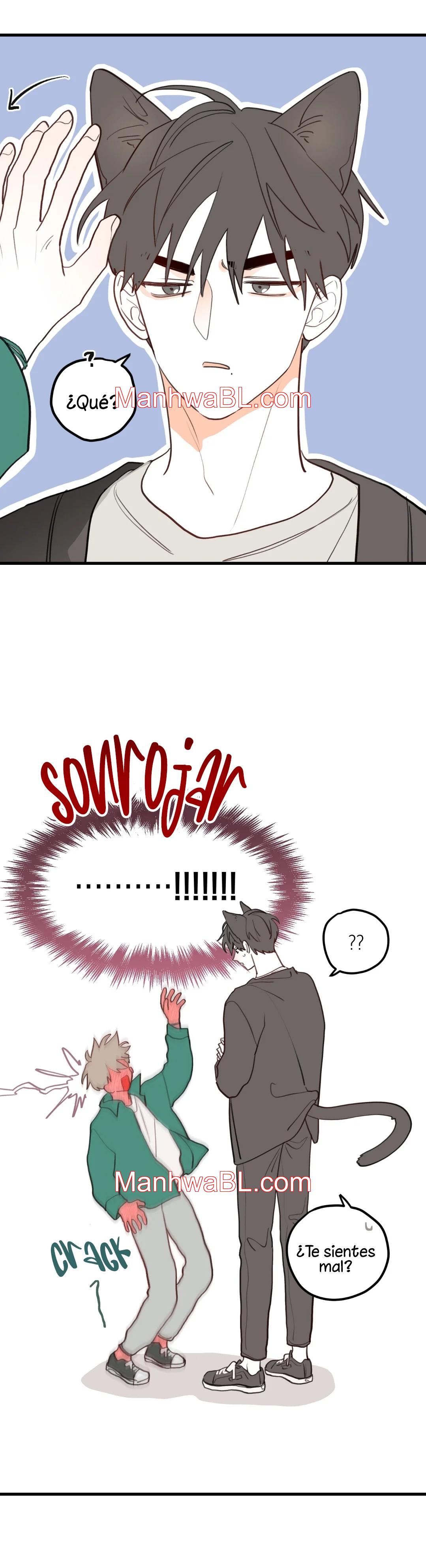 Pear Blossom Love - Capítulo 45.5 manhwa
