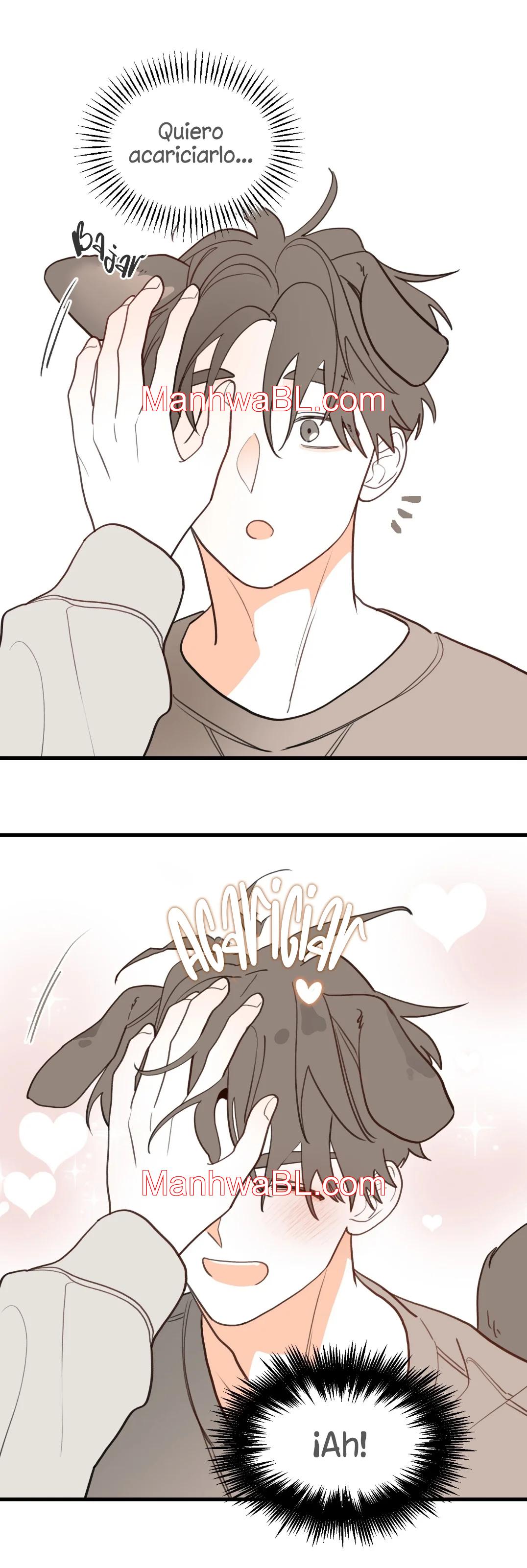 Pear Blossom Love - Capítulo 45.5 manhwa
