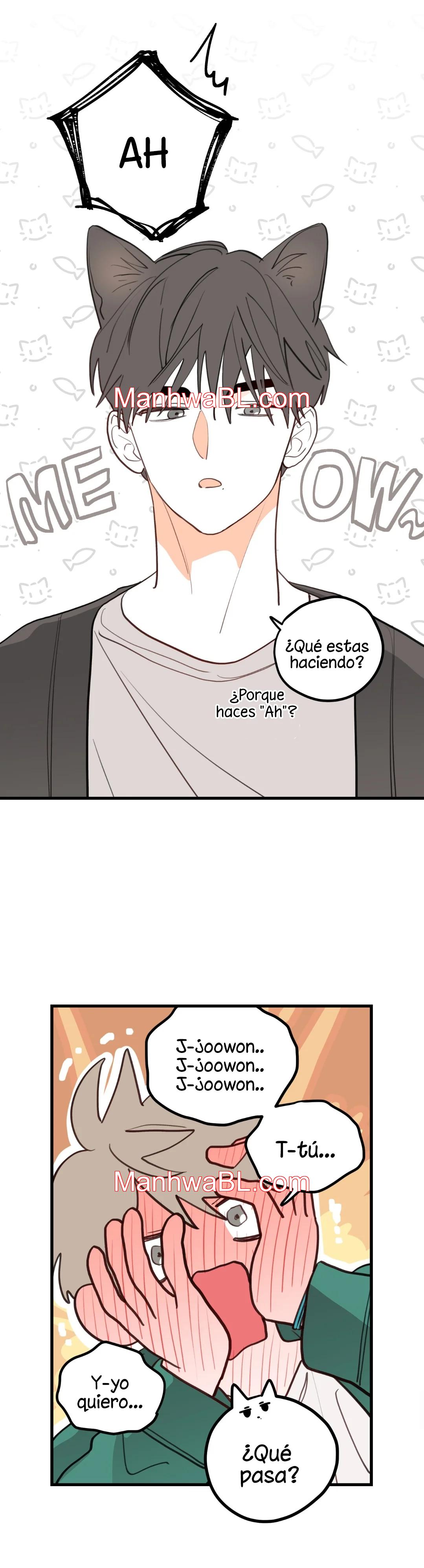 Pear Blossom Love - Capítulo 45.5 manhwa