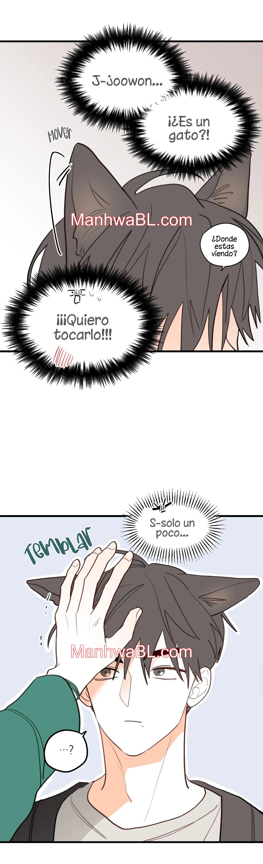 Pear Blossom Love - Capítulo 45.5 manhwa