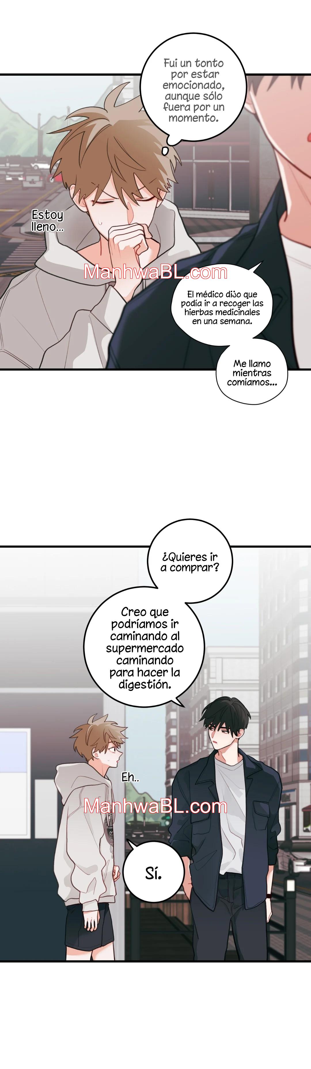 Pear Blossom Love - Capítulo 41.3 manhwa