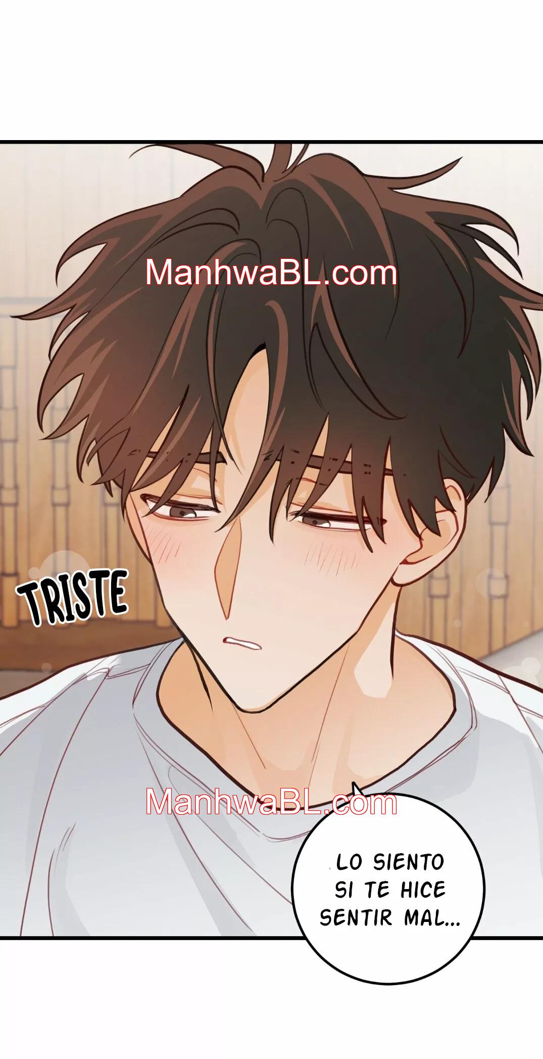 Pear Blossom Love - Capítulo 17.2 manhwa