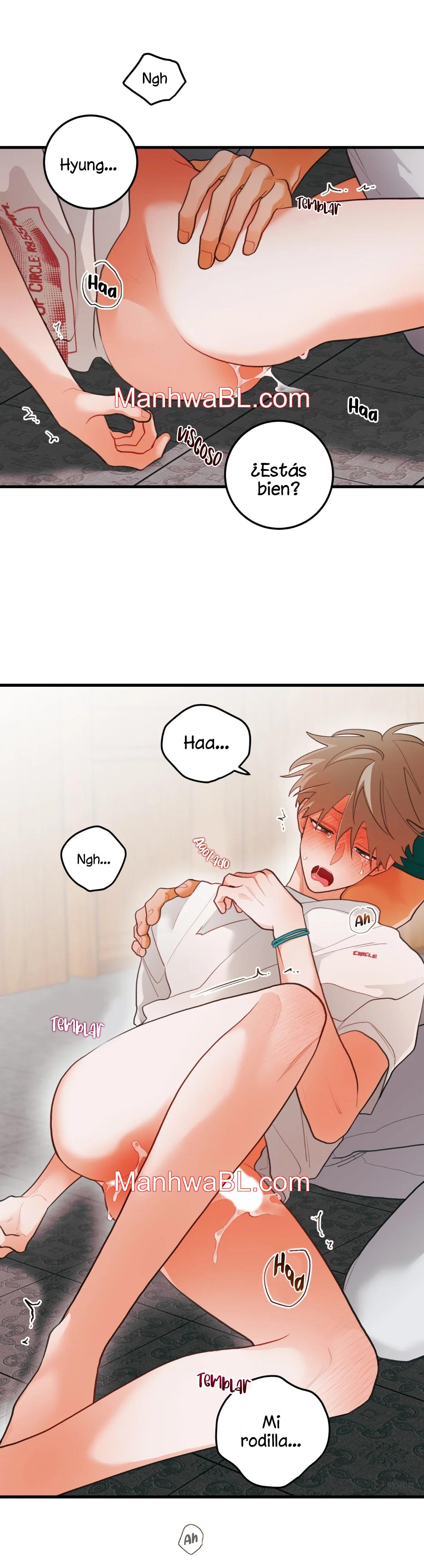 Pear Blossom Love - Capítulo 38.3 manhwa