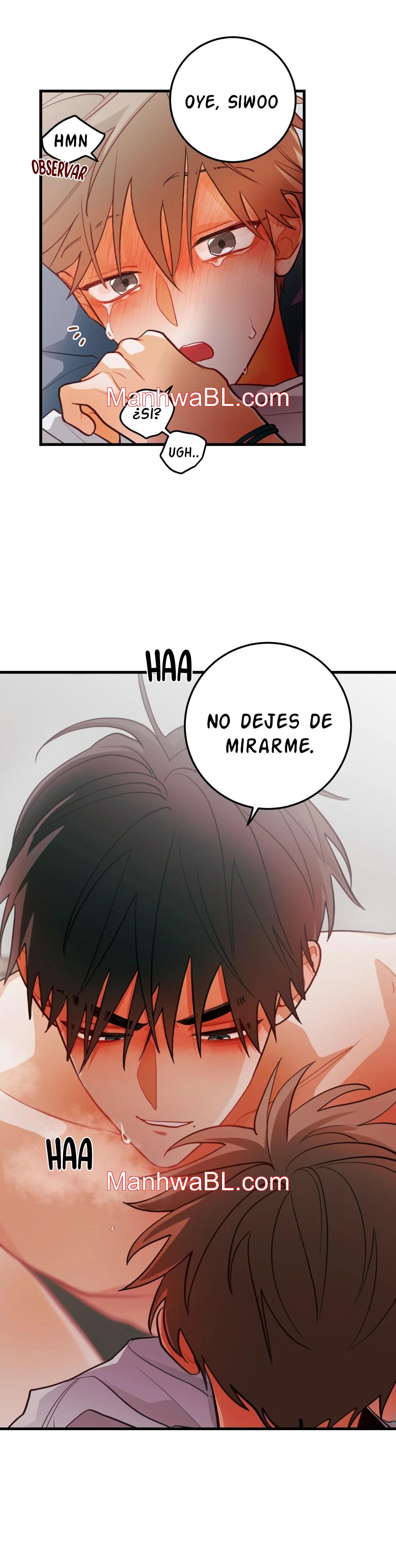 Pear Blossom Love - Capítulo 29.2 manhwa
