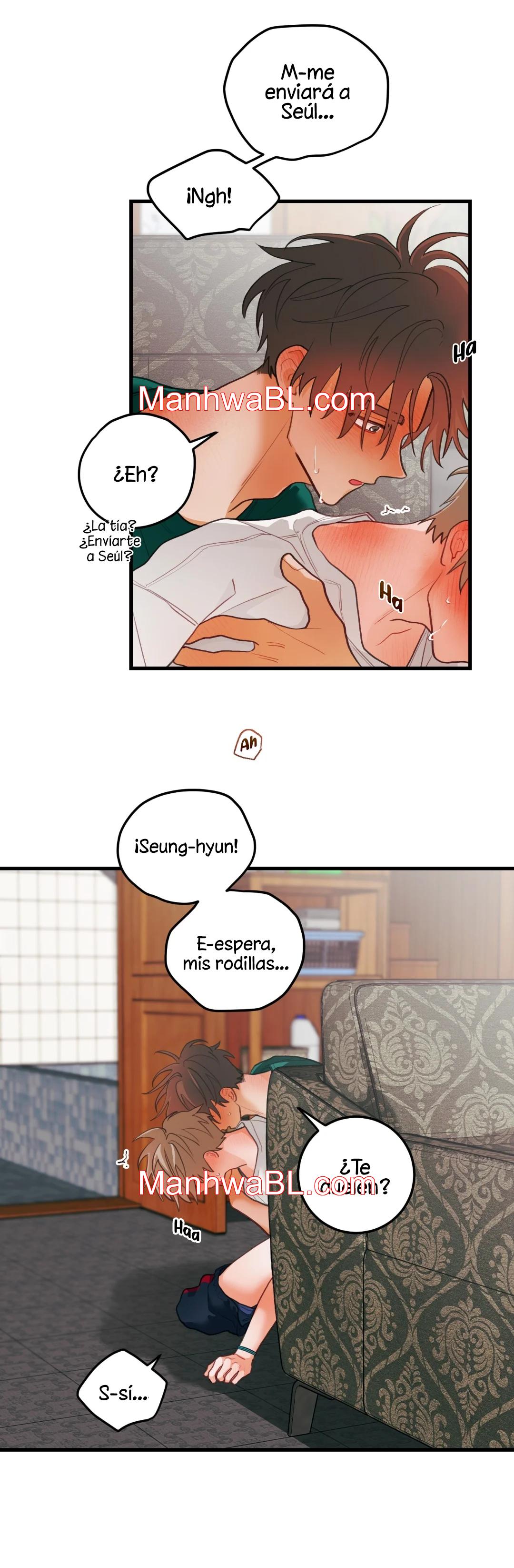 Pear Blossom Love - Capítulo 36.3 manhwa