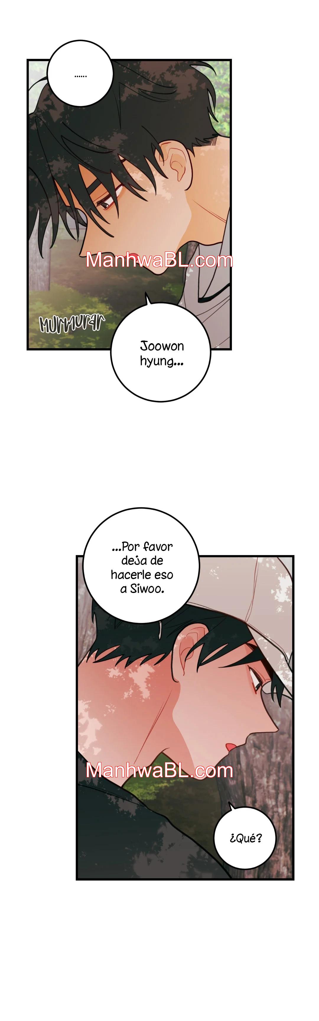 Pear Blossom Love - Capítulo 46.2 manhwa