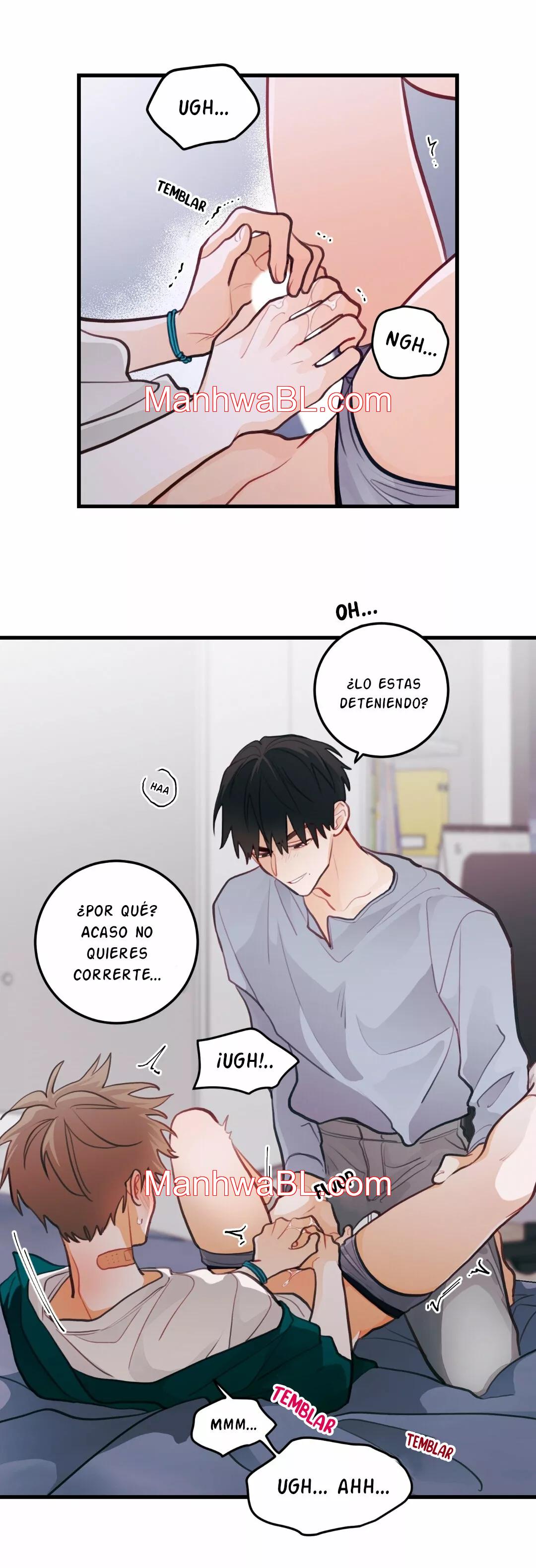 Pear Blossom Love - Capítulo 13.3 manhwa