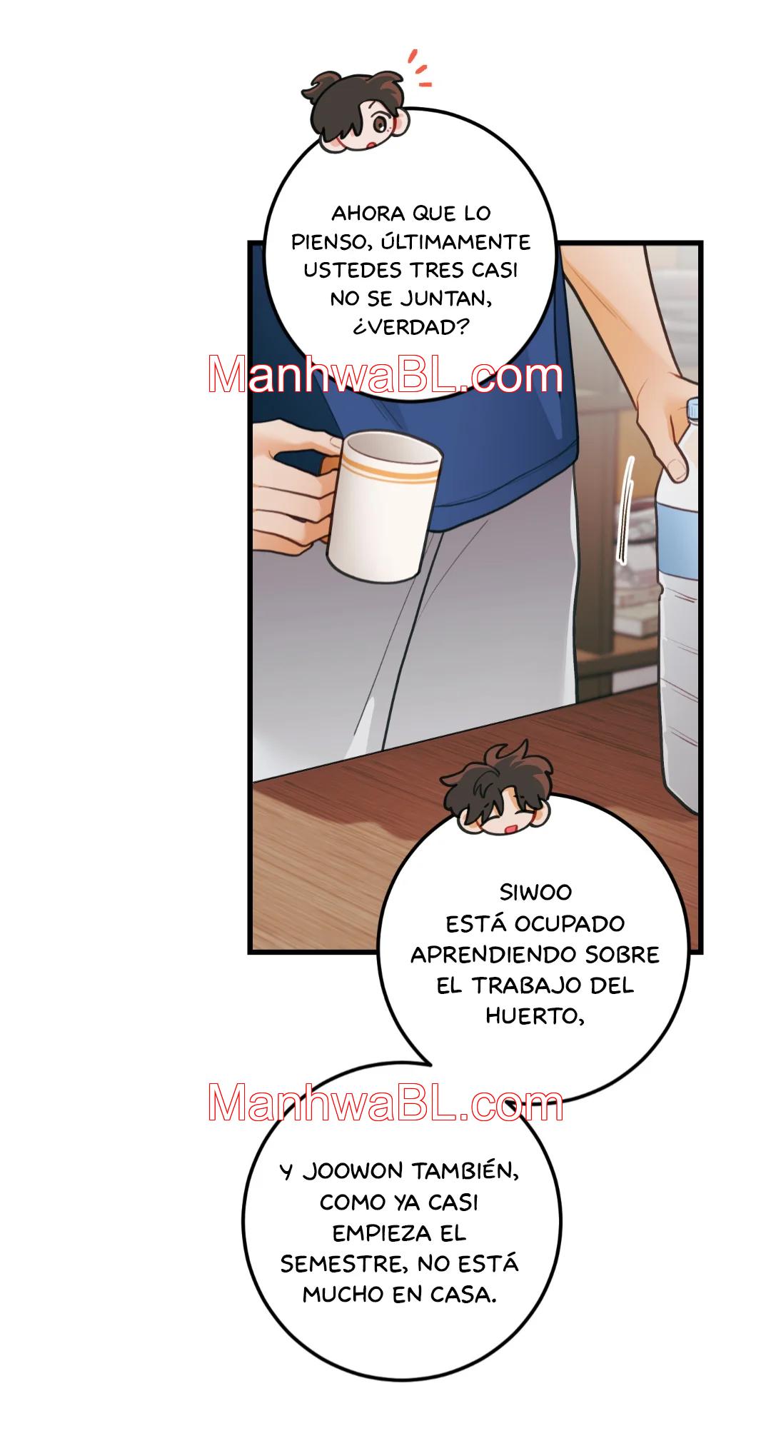 Pear Blossom Love - Capítulo 76.3 manhwa