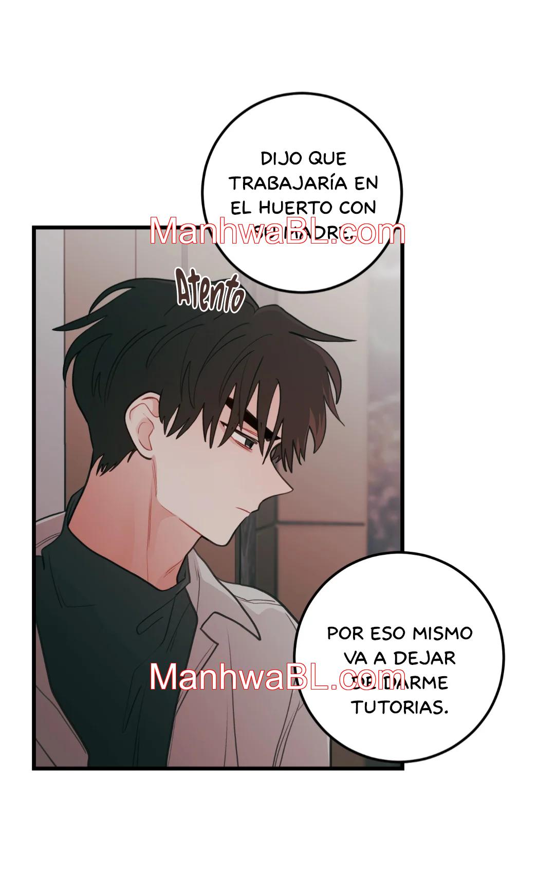 Pear Blossom Love - Capítulo 76.3 manhwa