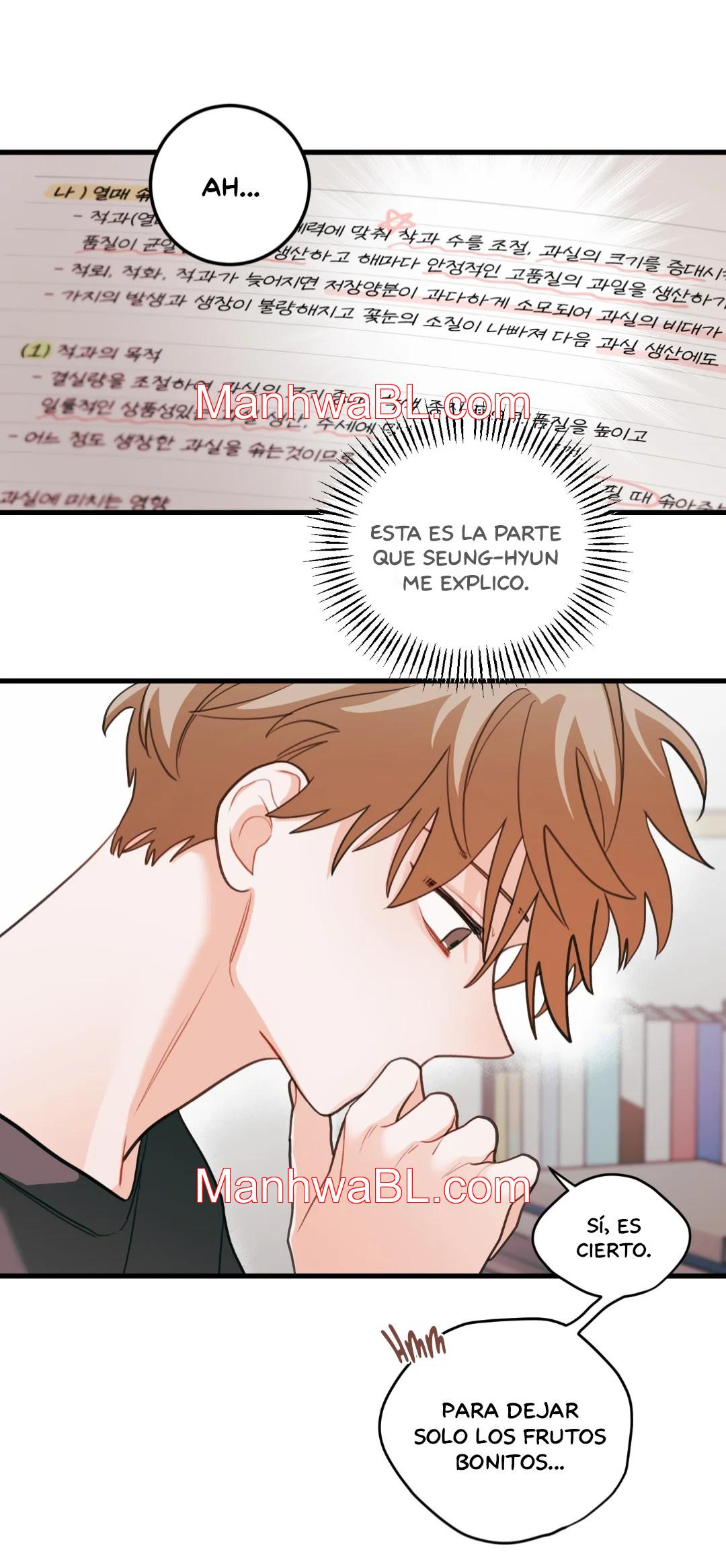 Pear Blossom Love - Capítulo 74.2 manhwa