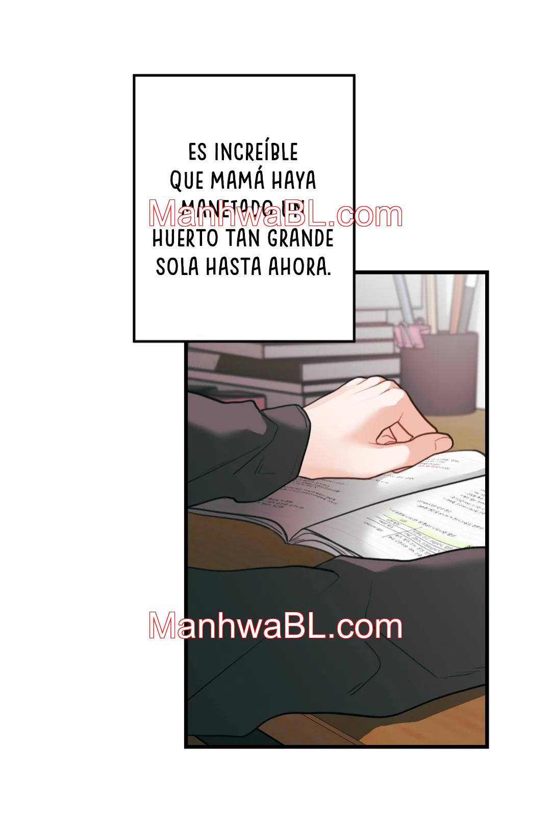 Pear Blossom Love - Capítulo 74.2 manhwa