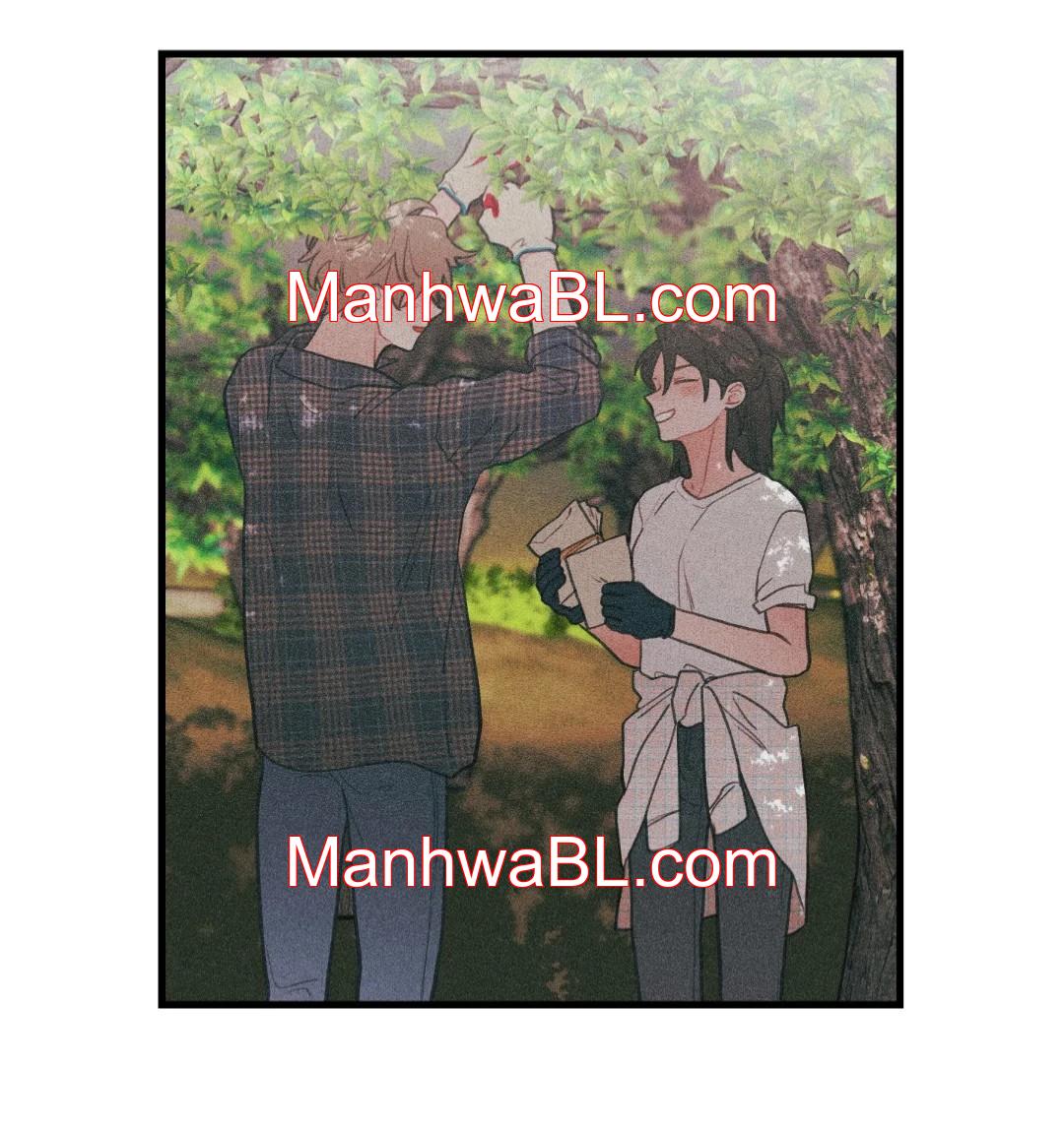 Pear Blossom Love - Capítulo 74.2 manhwa