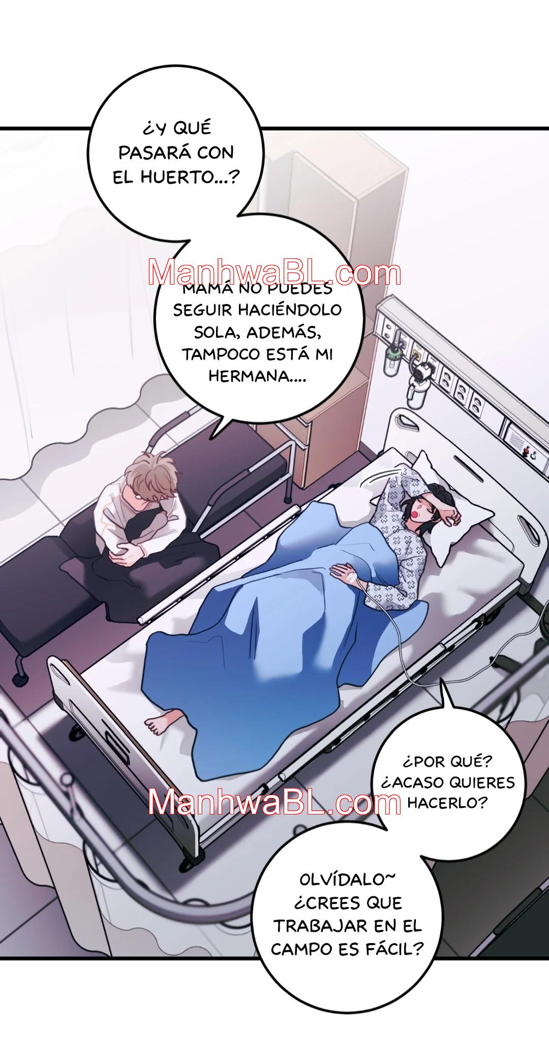 Pear Blossom Love - Capítulo 73 manhwa