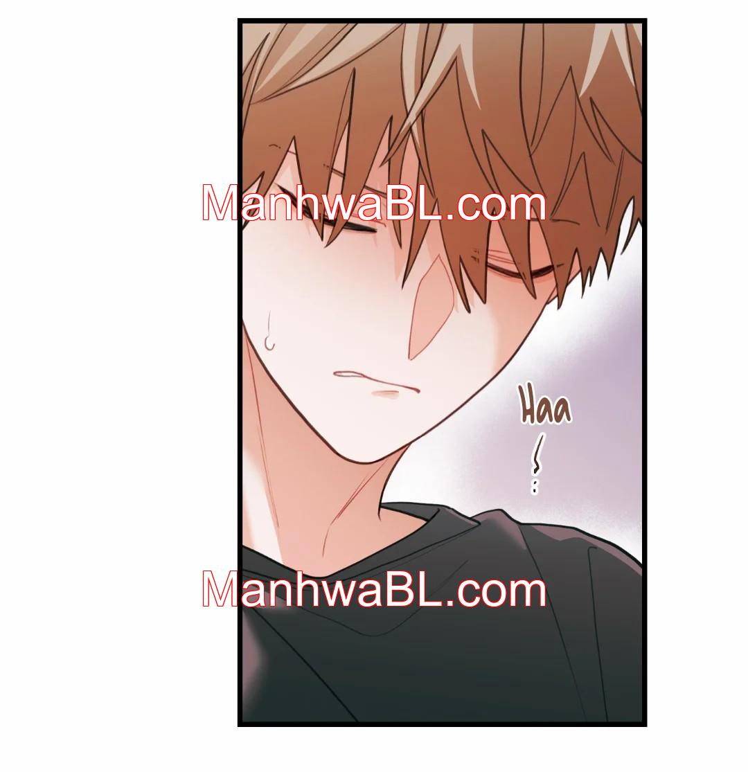 Pear Blossom Love - Capítulo 74.3 manhwa