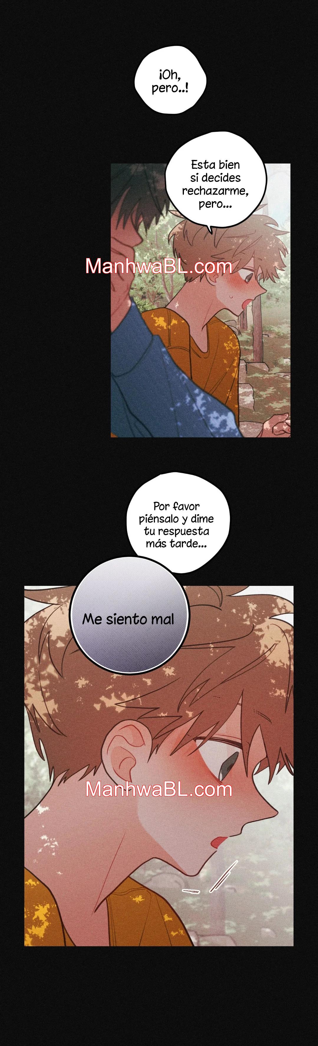 Pear Blossom Love - Capítulo 49.3 manhwa