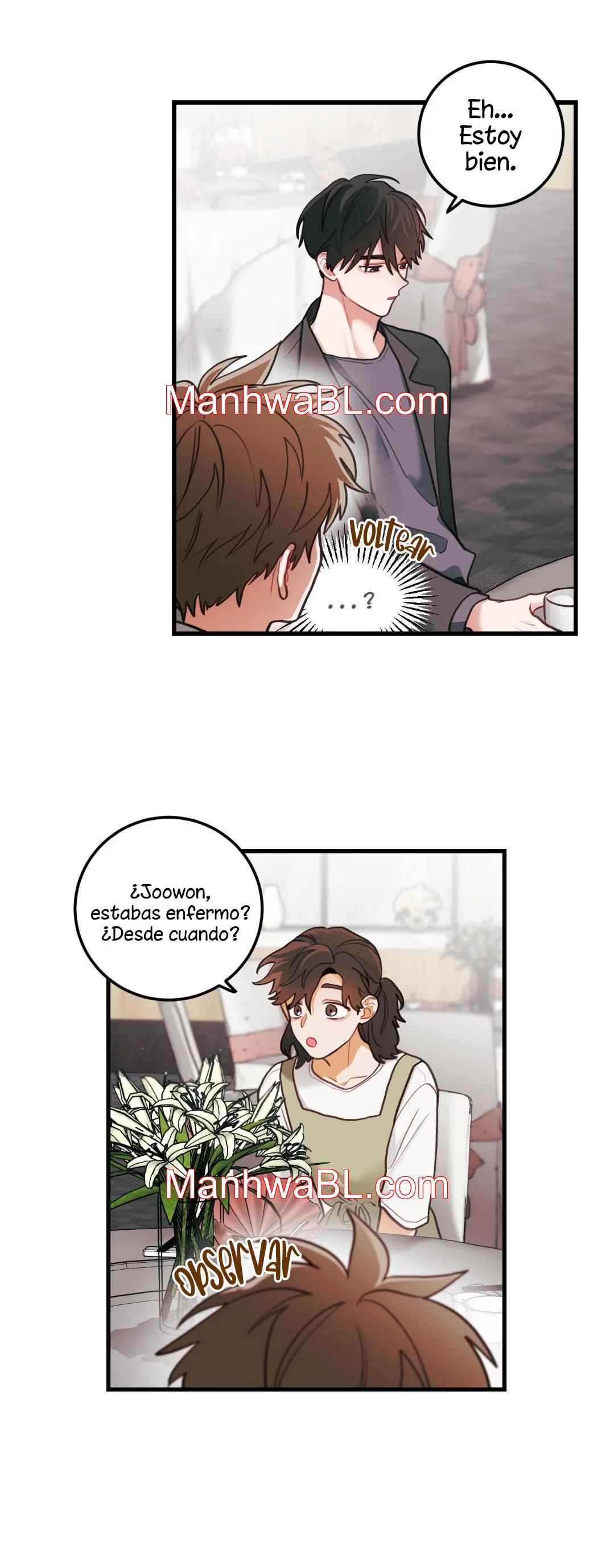 Pear Blossom Love - Capítulo 50.3 manhwa