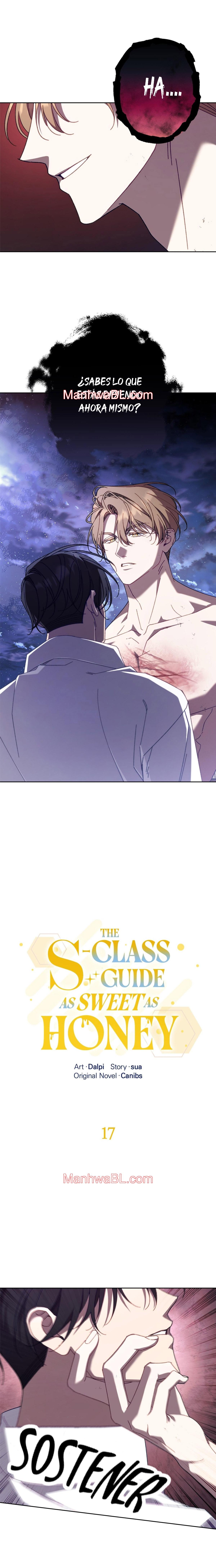 Guia de clase S cubierto de miel - Capítulo 17 manhwa