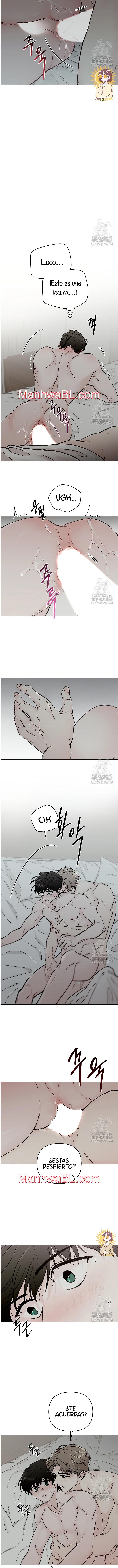 Fin del entendimiento - Capítulo 1.3 manhwa
