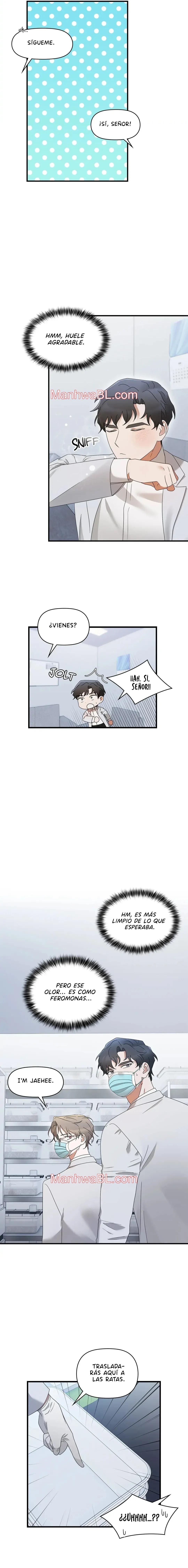 La Agenda del Alfa - Capítulo 8 manhwa