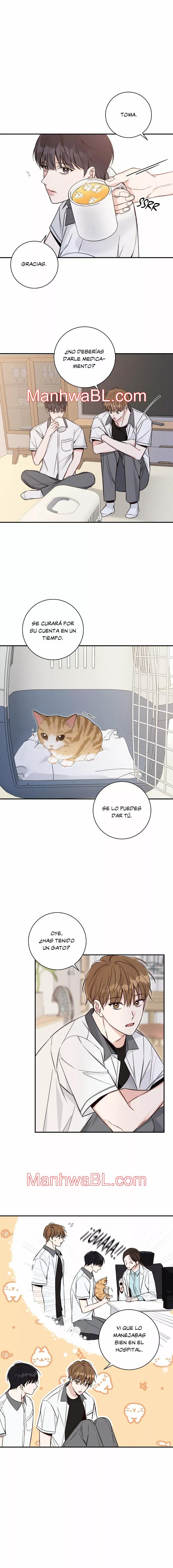 Temporada de Verano - Capítulo 6 manhwa