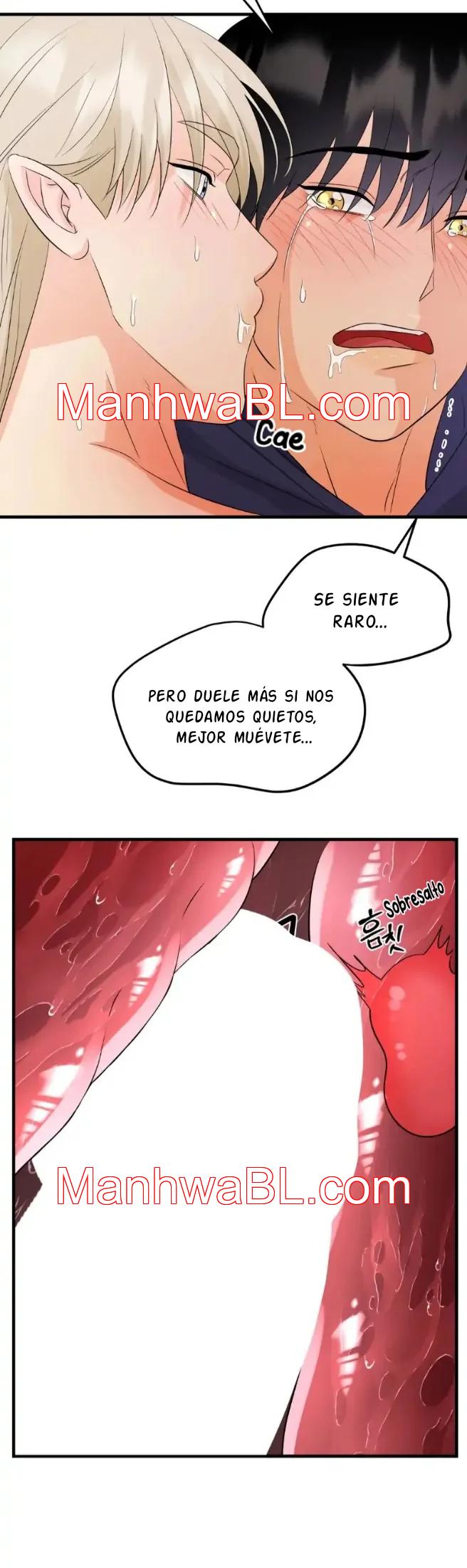 Pareja de Hada - Capítulo 17 manhwa