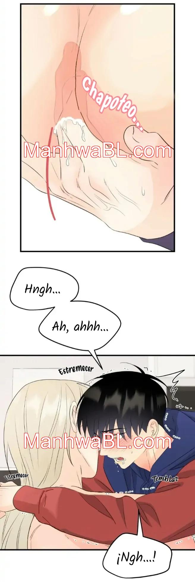 Pareja de Hada - Capítulo 16.3 manhwa