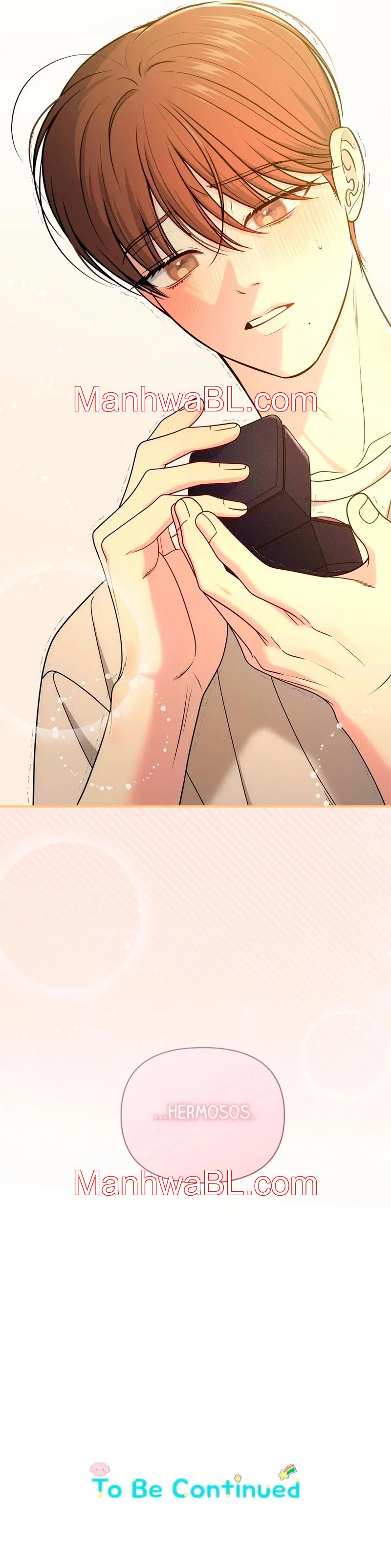 Secret Love Affair - Capítulo 47.3 manhwa