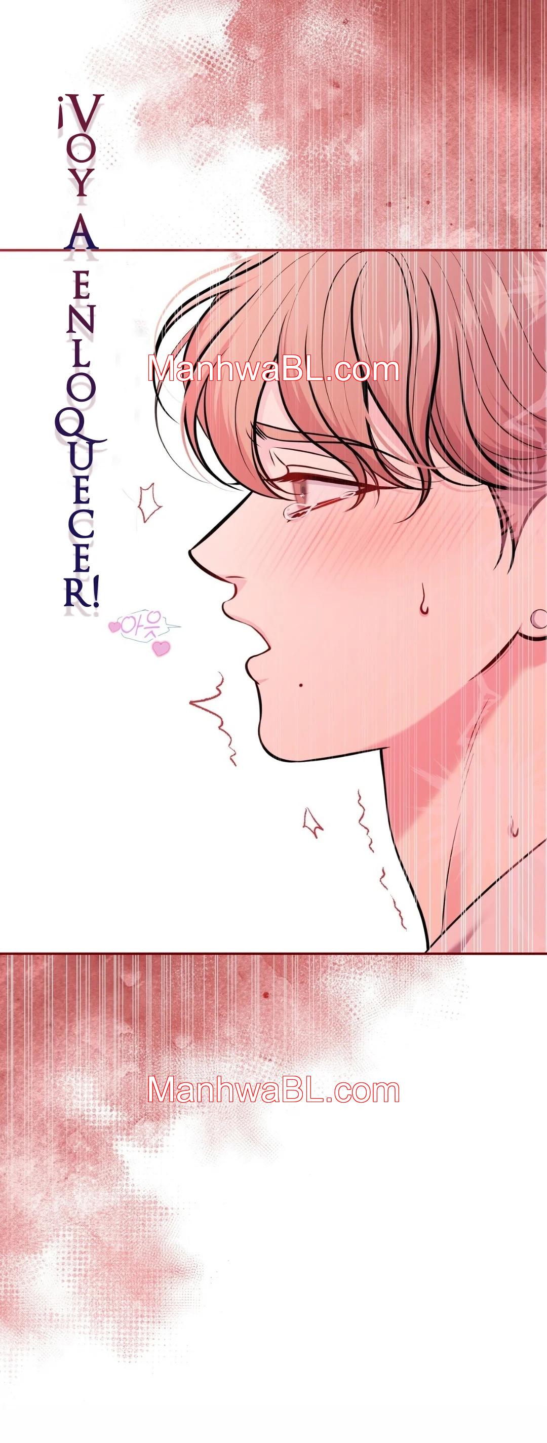 Secret Love Affair - Capítulo 8.2 manhwa
