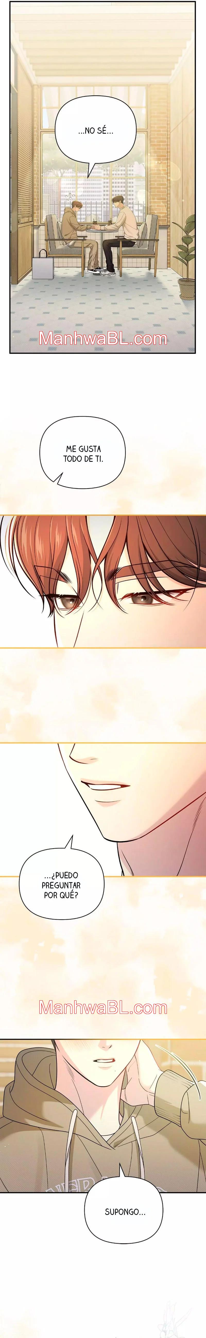 Secret Love Affair - Capítulo 46.3 manhwa