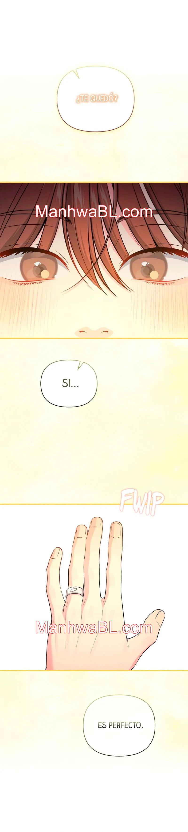 Secret Love Affair - Capítulo 48.3 manhwa