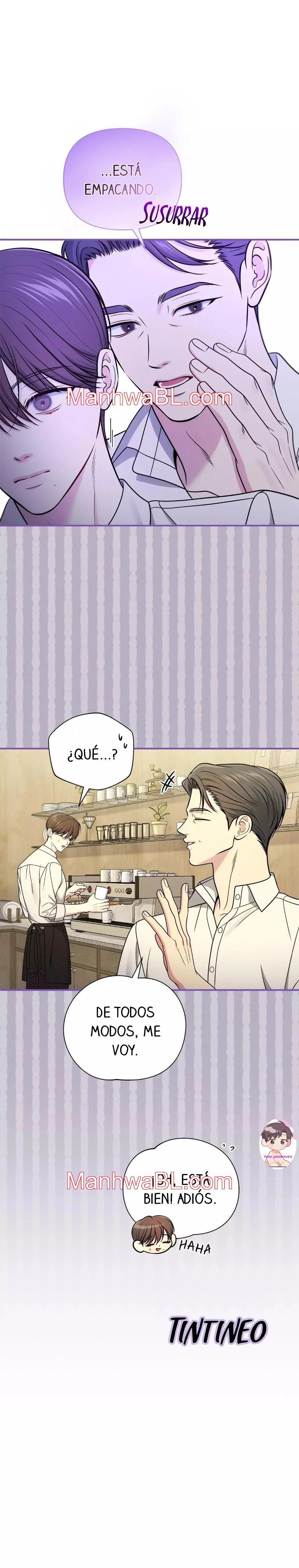 Secret Love Affair - Capítulo 54.3 manhwa