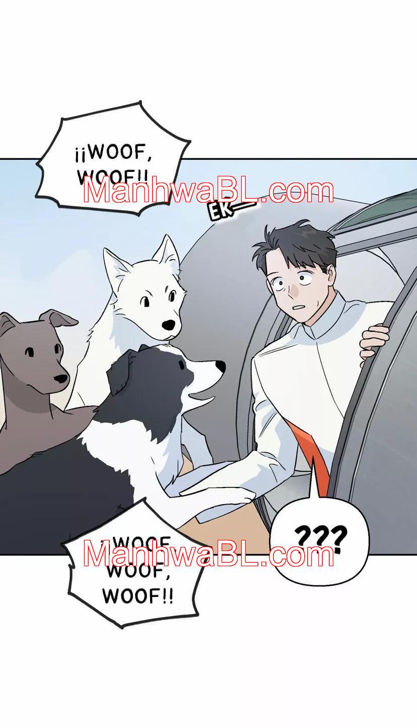 Un hombre como un perro - Capítulo 4 manhwa