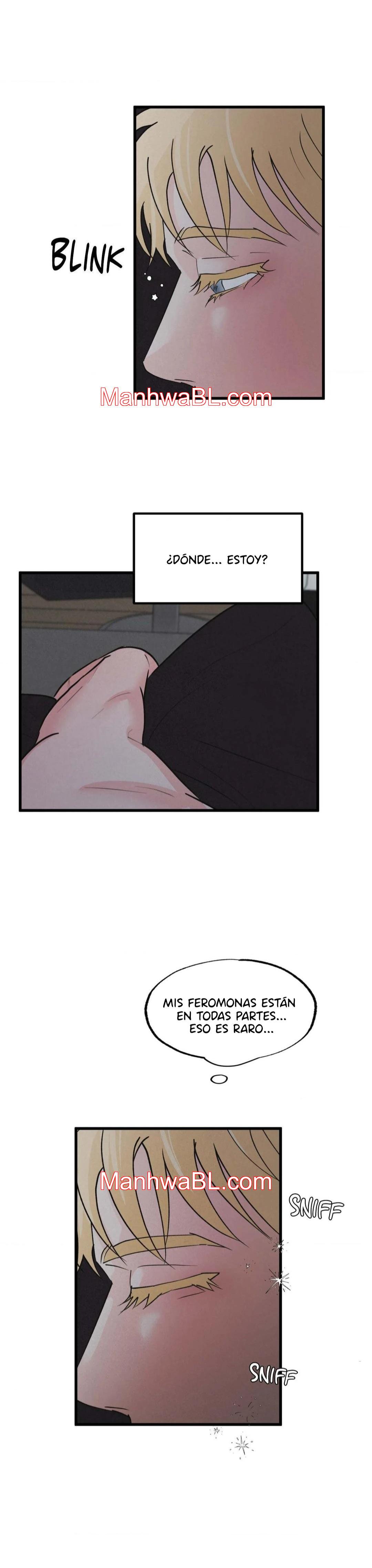Una pareja perfecta - Capítulo 8 manhwa