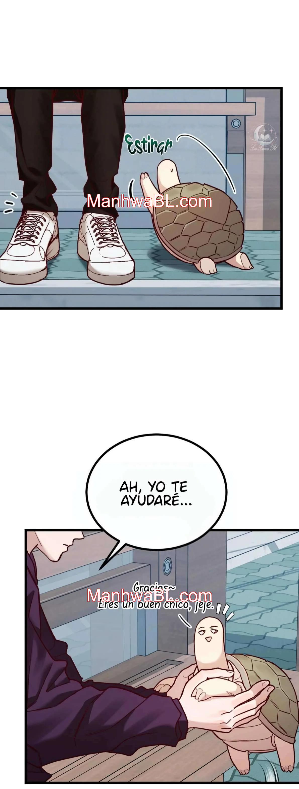 Don’t Pick Don Pig - Capítulo 12 manhwa