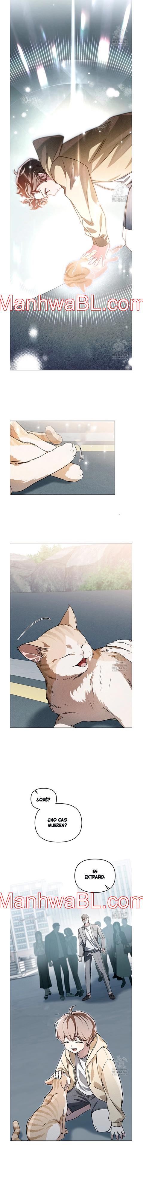 Llama Espiritual - Capítulo 14 manhwa