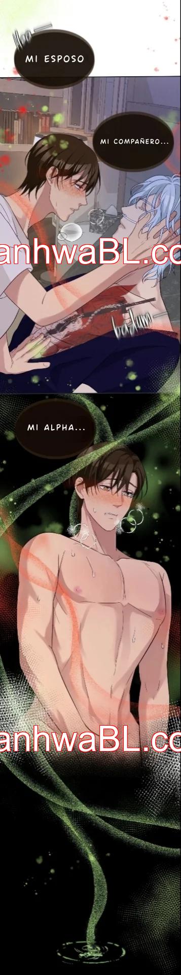 Mated To The Ruthless Alpha - Capítulo 13.00 manhwa
