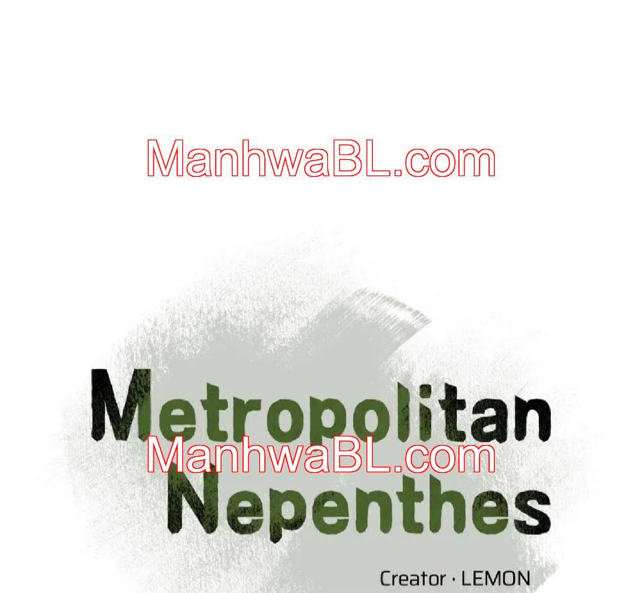 Metropolitan Nepenthes - Capítulo 16 manhwa
