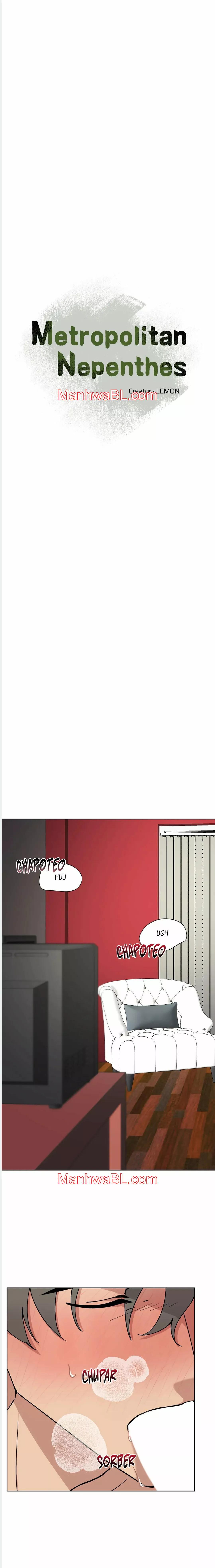 Metropolitan Nepenthes - Capítulo 14 manhwa